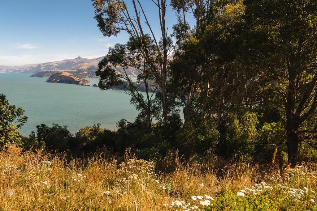 Kukupa Puni At Akaroa Lavender By Tiny Away Vila Duvauchelle Exterior foto